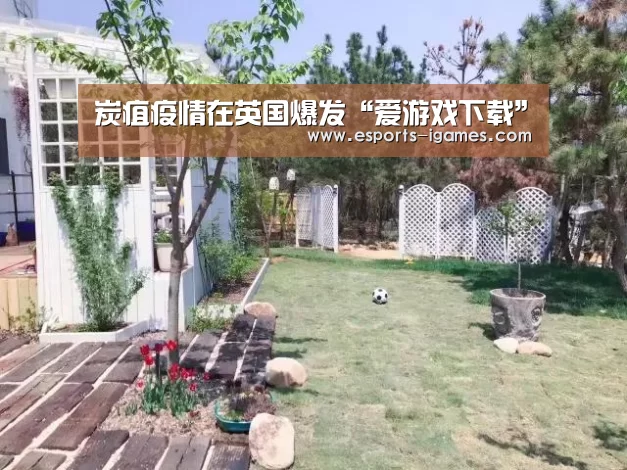 炭疽疫情在英国爆发“爱游戏下载”(图1) APP入口