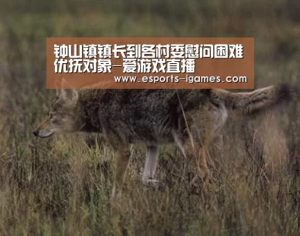 钟山镇镇长到各村委慰问困难优抚对象-爱游戏直播(图2) 爱游戏官网