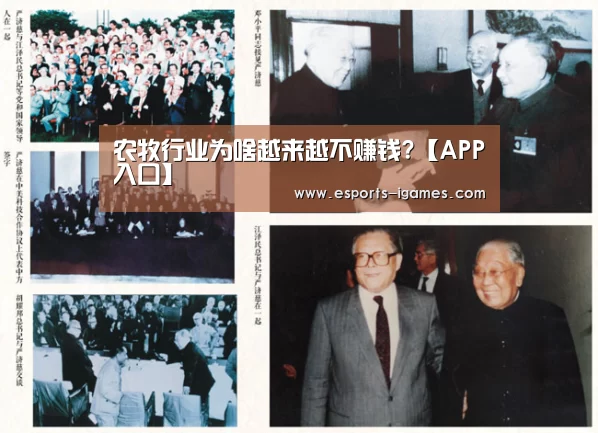 爱游戏下载