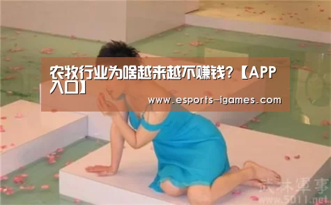 APP入口