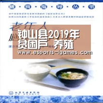 爱游戏直播