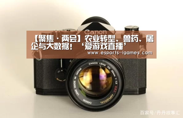 爱游戏官网