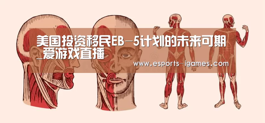 爱游戏官网