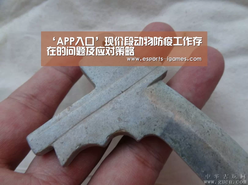 爱游戏直播