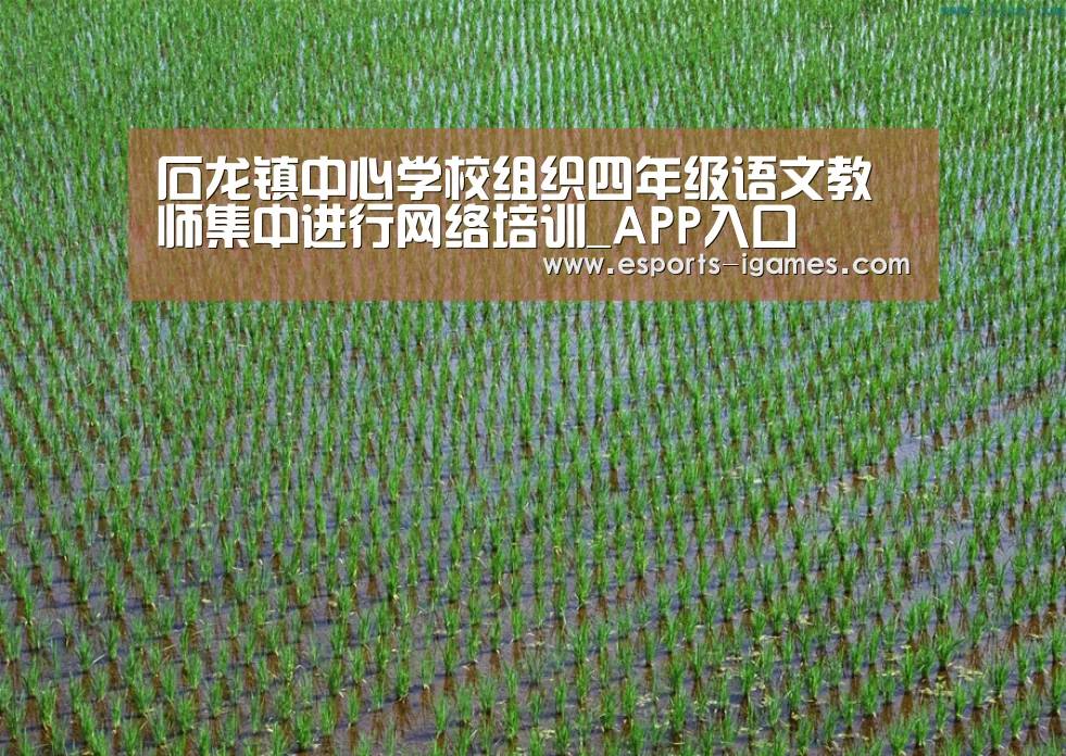 爱游戏直播