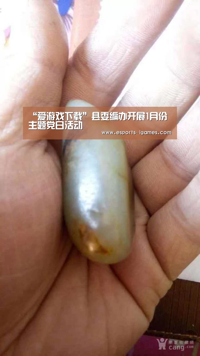 “爱游戏下载”县委编办开展1月份主题党日活动(图2) 爱游戏直播