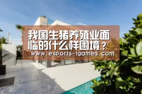 爱游戏直播