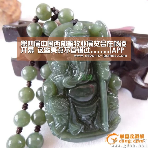 第四届中国西部畜牧业展览会在杨凌开幕 这些亮点不容错过...